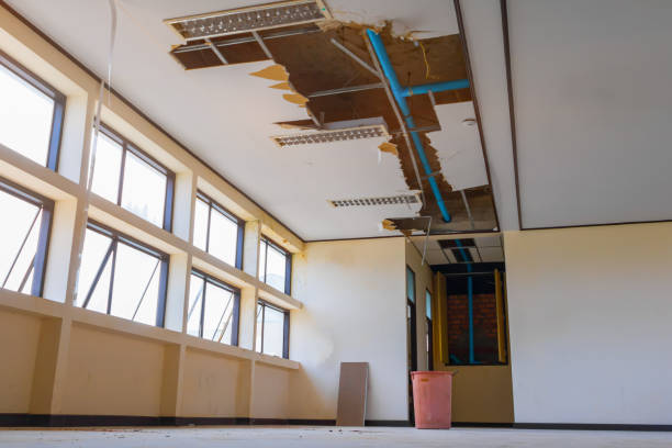 Best Carpet water damage restoration  in Empire, CA