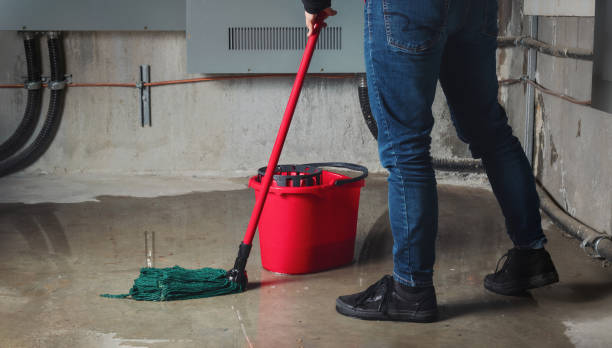 Best Local water damage restoration  in Empire, CA