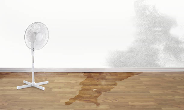 Best Flood restoration services  in Empire, CA