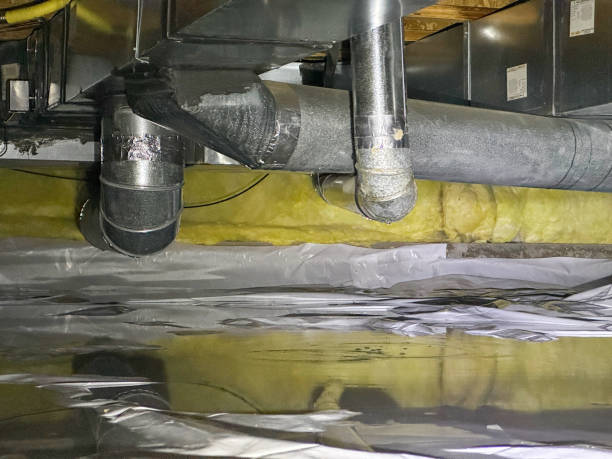Best Professional water damage repair  in Empire, CA