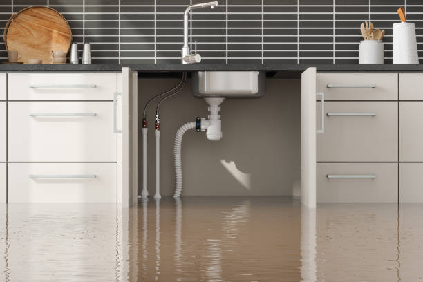 Best Mold removal after water damage  in Empire, CA