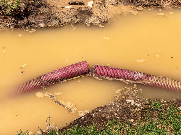 Best 24-hour water damage restoration  in Empire, CA
