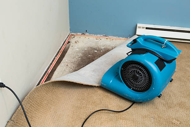 Trusted Empire, CA Water damage restoration Experts